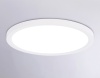 Накладной светильник Ambrella Light FZ1909