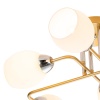 Накладная люстра Escada 1132/6P Gold