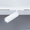 Светильник на шине Citilux CL01T070N