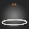 Подвесная люстра ST-Luce SL6110.223.01