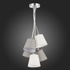 Подвесная люстра Evoluce SLE300403-05