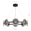 Подвесная люстра ST-Luce SL6142.443.01