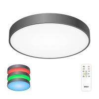 Накладной светильник Citilux CL72495G1