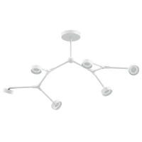 Ambrella Light C9055