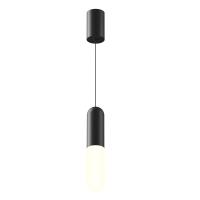 Подвесной светильник Maytoni P101PL-L300-12W3K-B