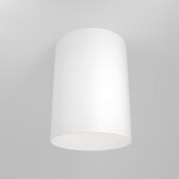 Потолочный светильник Technical C014CL-01W