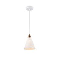 Ambrella Light TR8429