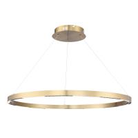 Подвесной светильник ST-Luce SL6238.343.01