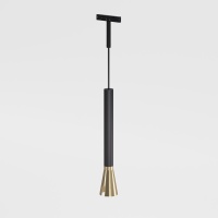 Светильник на шине Elektrostandard 85165/01