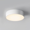 Потолочный светильник Outdoor O431CL-L30W3K