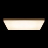 Накладной светильник LOFT IT 10228/E
