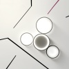 Накладная люстра ImperiumLoft 204610-26
