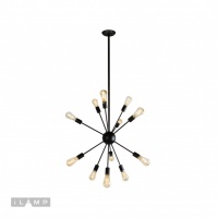 Подвесная люстра iLamp Loft209-12B