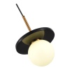 Подвесной светильник ST-Luce SL1191.343.01