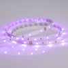 Лента Arlight 022066(2)