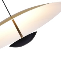 Подвесной светильник ST-Luce SL6502.213.01