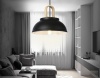 Подвесной светильник Ambrella Light TR8192