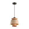 Подвесной светильник Odeon Light 4992/1