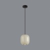 Подвесной светильник Odeon Light 5060/1GA