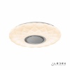 Накладной светильник iLedex ZN-XU48XD-GSR-YK