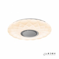 Накладной светильник iLedex ZN-XU48XD-GSR-YK
