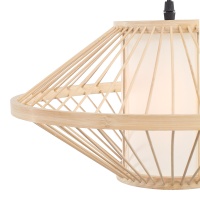 Подвесная люстра ST-Luce SL6241.533.01