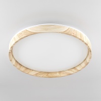 Накладной светильник Citilux CL753452G