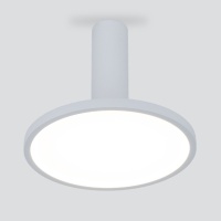 Накладной светильник Elektrostandard DLS029 12W 4200K белый матовый
