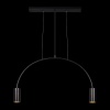 Подвесной светильник LOFT IT 5044-2