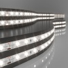 Лента Elektrostandard 2835 12V 60Led 4,8W IP65 / дневной белый