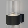 Бра Eurosvet 40021/1 LED чёрный/прозрачный
