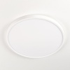 Накладной светильник Citilux CL738320V