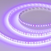 Лента Arlight 043384