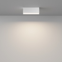 Потолочный светильник Technical C068CL-12W3-6K-W