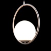 Подвесной светильник LOFT IT LOFT2600-B
