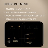 Реле Yeelight Pro, серия S20, 2 канала (N L)