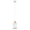 Подвесной светильник ARTE Lamp A7032SP-1WH