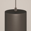 Подвесной светильник Maytoni P085PL-12W3K-B