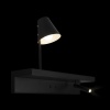 Бра LOFT IT 10216/2W Black