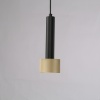 Подвесной светильник iLedex 2362-1 BK+BR