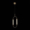 Подвесная люстра ST-Luce SL6004.303.02