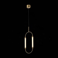 Подвесная люстра ST-Luce SL6004.303.02