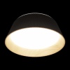 Накладной светильник LOFT IT 10224 Black