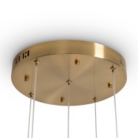 Подвесной светильник Freya FR5579PL-L40BS