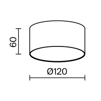 Потолочный светильник Technical C032CL-12W3K-RD-W