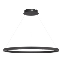 Подвесной светильник ST-Luce SL6238.443.01