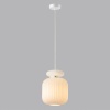 Подвесной светильник Odeon Light 5042/1C