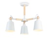 Люстра на штанге Ambrella Light TR82204