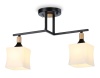 Накладной светильник Ambrella Light TR9486