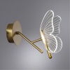 Детское бра ARTE Lamp A2187AP-1GO